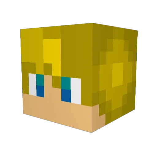 tenneb11 Minecraft avatar head, 3D render