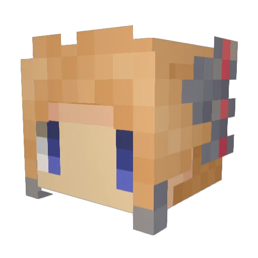 tennenchoco Minecraft avatar head, 3D render
