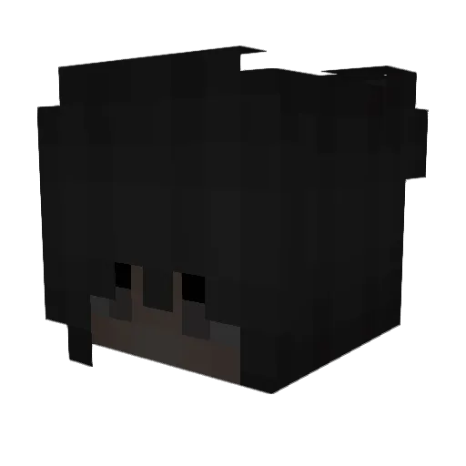 tennessee4 Minecraft avatar head, 3D render