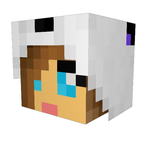 tenngirlonfire Minecraft avatar head, 3D render