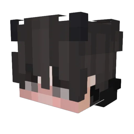 tennity Minecraft avatar head, 3D render