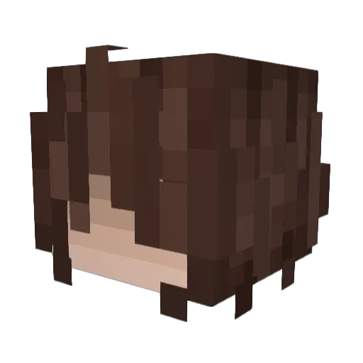 tenshiangle Minecraft avatar head, 3D render