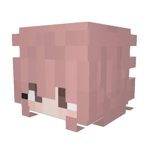 tentenene Minecraft avatar head, 3D render