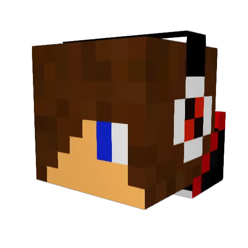 teoman48 Minecraft avatar head, 3D render