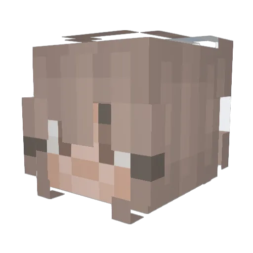 teomaximum Minecraft avatar head, 3D render