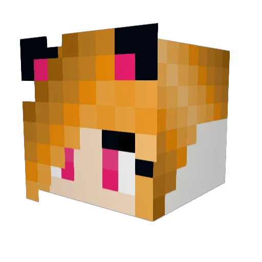 tepaplayer6 Minecraft avatar head, 3D render