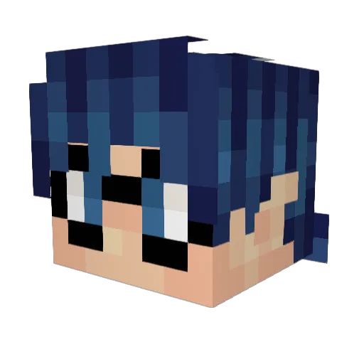 tepidtadpole Minecraft avatar head, 3D render