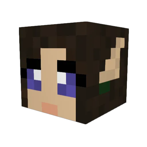 tepigsmith Minecraft avatar head, 3D render