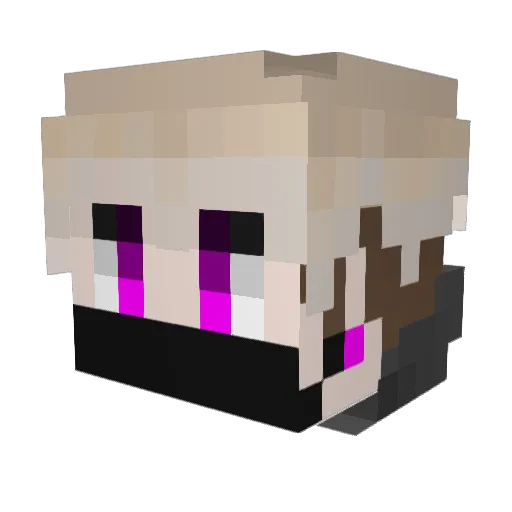 tepo4 Minecraft avatar head, 3D render