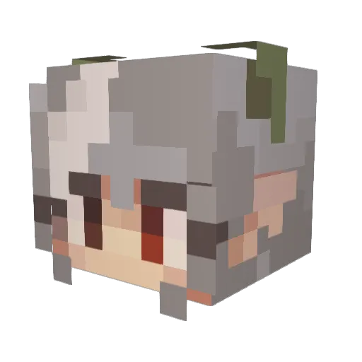 teppythebeast Minecraft avatar head, 3D render