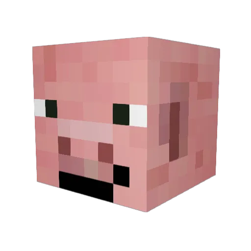 tequilla123 Minecraft avatar head, 3D render