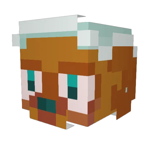 tequt Minecraft avatar head, 3D render
