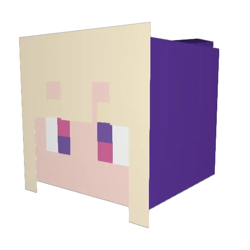 teran55 Minecraft avatar head, 3D render