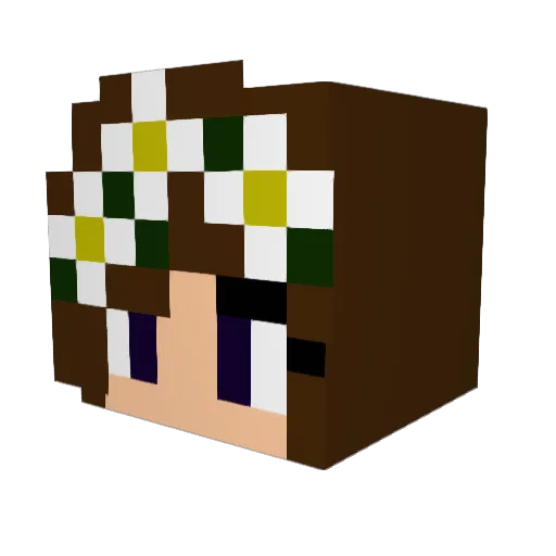 teraxvii Minecraft avatar head, 3D render