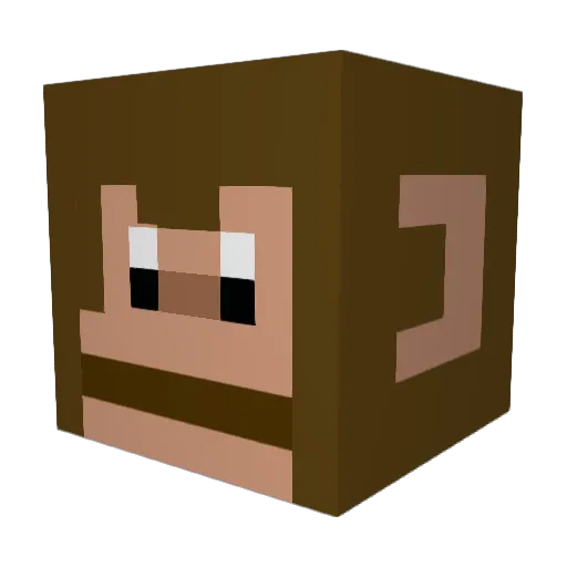 terdynerdy12 Minecraft avatar head, 3D render