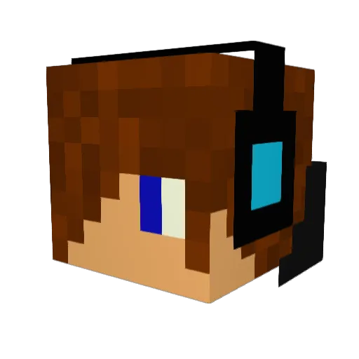 terenc999 Minecraft avatar head, 3D render
