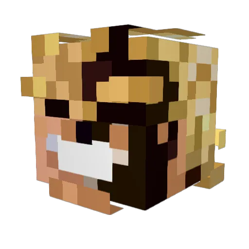 terence8811 Minecraft avatar head, 3D render
