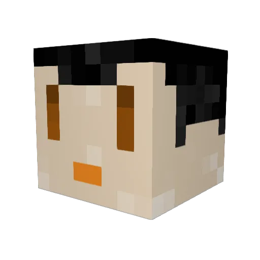 terentiusneo Minecraft avatar head, 3D render
