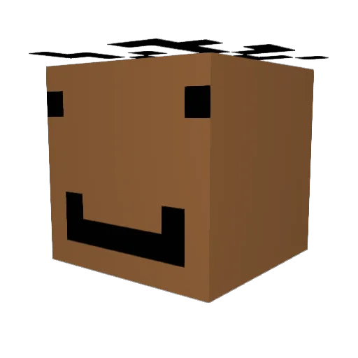 tering_lijers Minecraft avatar head, 3D render