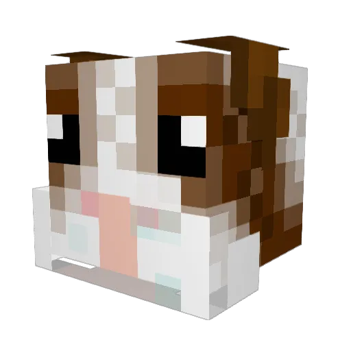 teriyakipro Minecraft avatar head, 3D render