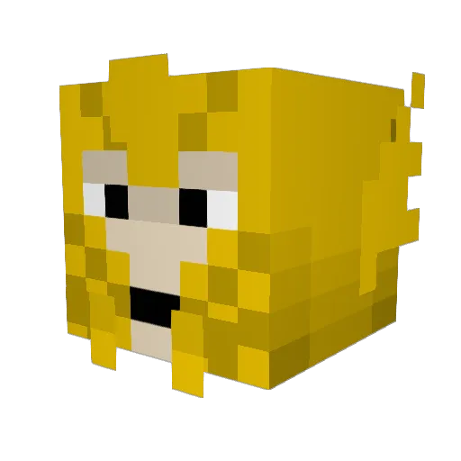 term1_2 Minecraft avatar head, 3D render