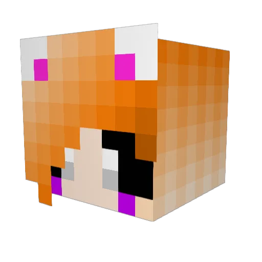 termabrator Minecraft avatar head, 3D render