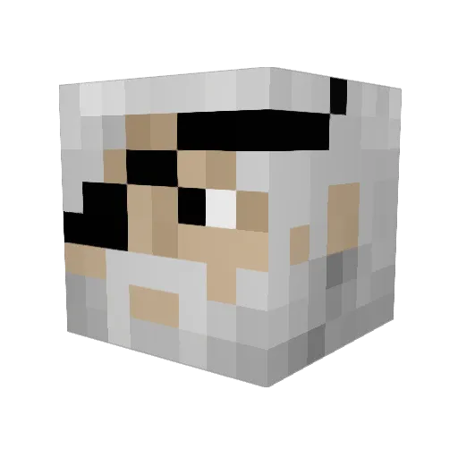 terminatestew Minecraft avatar head, 3D render