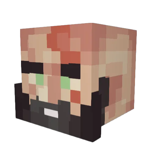 terminator33146 Minecraft avatar head, 3D render