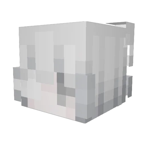 terminiert Minecraft avatar head, 3D render