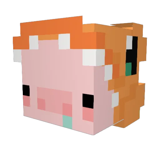terminoc Minecraft avatar head, 3D render