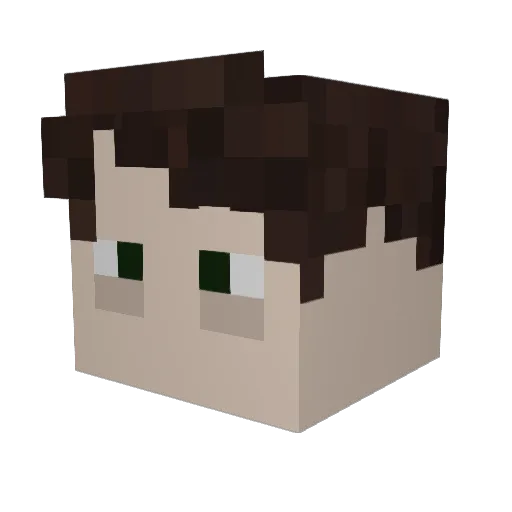ternaries Minecraft avatar head, 3D render