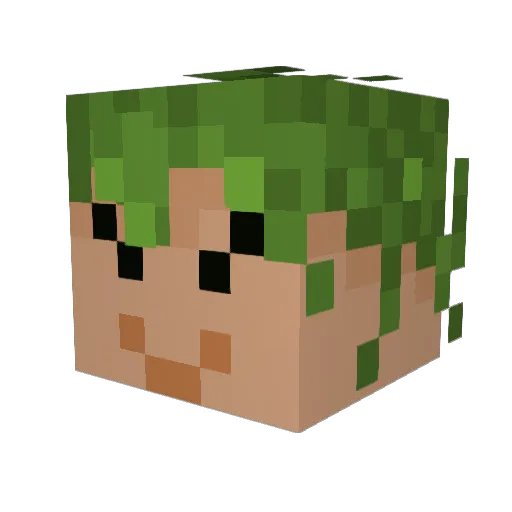 terra505 Minecraft avatar head, 3D render