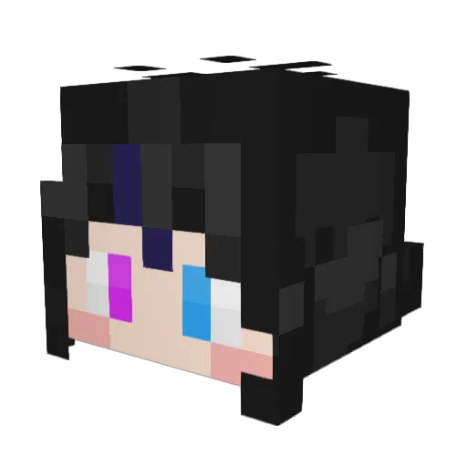 terra_2018 Minecraft avatar head, 3D render
