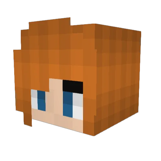 terralynn Minecraft avatar head, 3D render