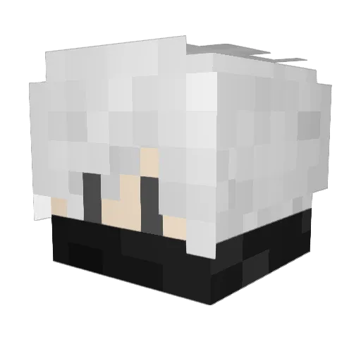 terrarier2111 Minecraft avatar head, 3D render