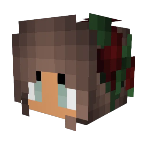 terrarise Minecraft avatar head, 3D render