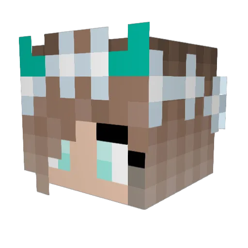 terrat Minecraft avatar head, 3D render