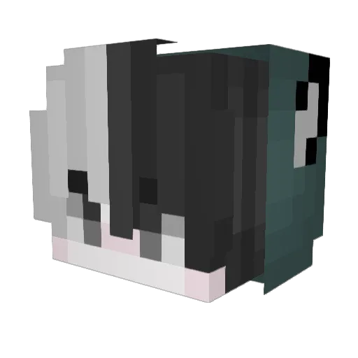 terrawolf12 Minecraft avatar head, 3D render