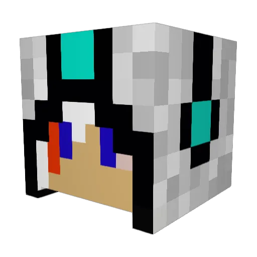 terrgor Minecraft avatar head, 3D render