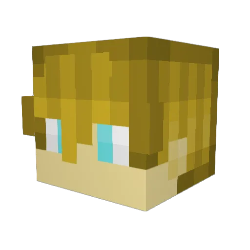 terrior098 Minecraft avatar head, 3D render
