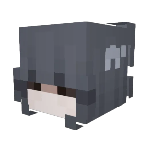 terrorinresonanc Minecraft avatar head, 3D render