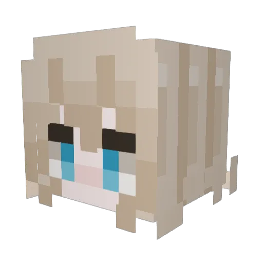 terry7205 Minecraft avatar head, 3D render