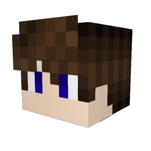 terrydestroyer Minecraft avatar head, 3D render