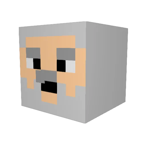 terrykim2 Minecraft avatar head, 3D render