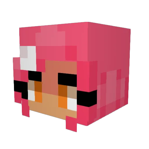 terrysswagger Minecraft avatar head, 3D render