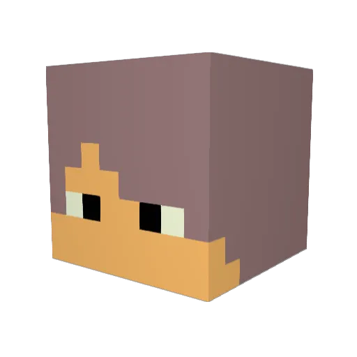 teryc7241 Minecraft avatar head, 3D render