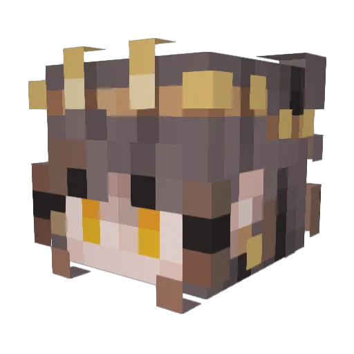 tesadia Minecraft avatar head, 3D render
