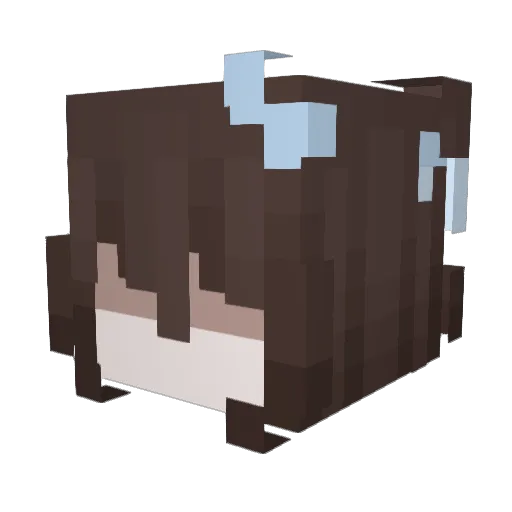 tesh08 Minecraft avatar head, 3D render