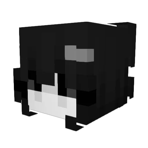 tesknota Minecraft avatar head, 3D render