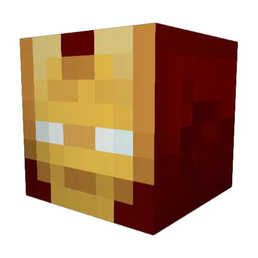 teslers5000 Minecraft avatar head, 3D render